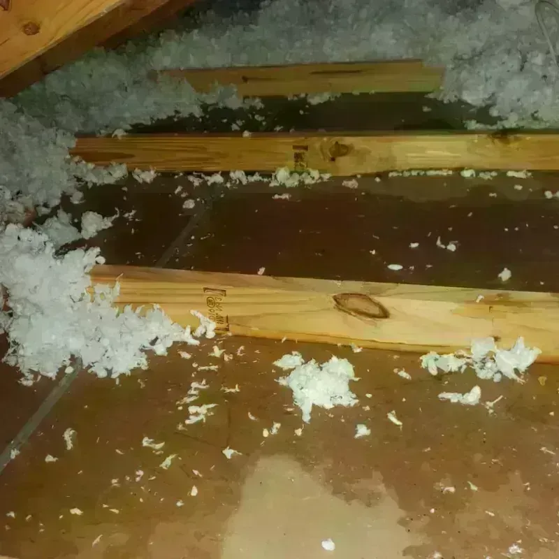 Attic Water Damage in Indianola, WA